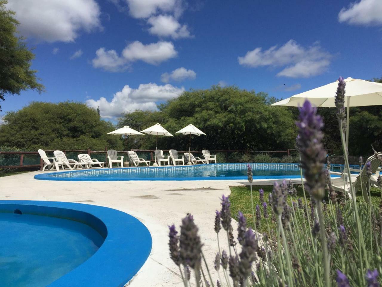 Cabanas Los Algarrobos Villa General Belgrano Eksteriør billede